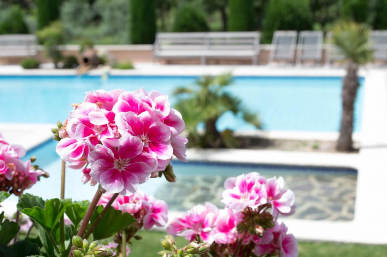 Le Bouquet De L Aromate * Joucas